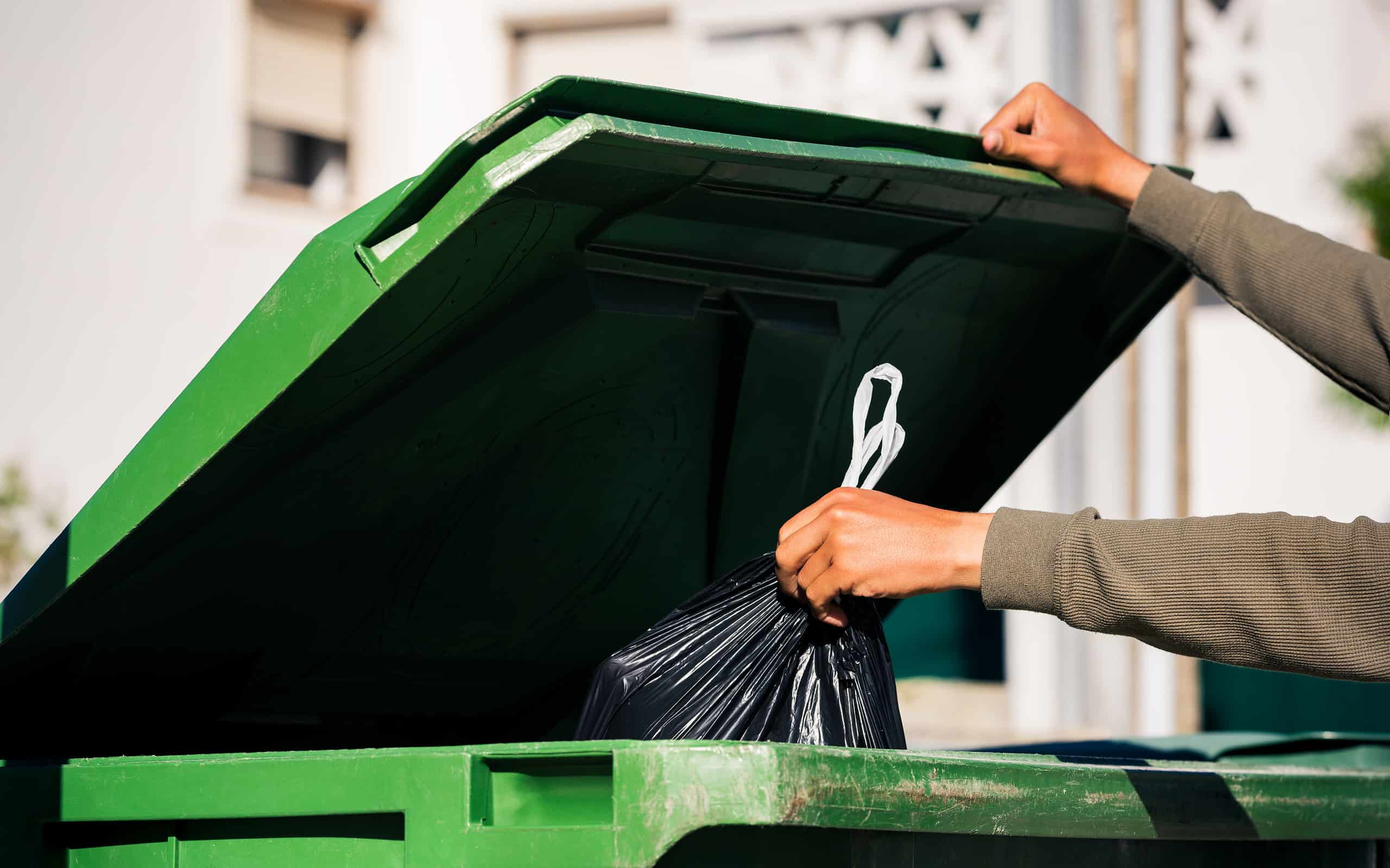 Hate Rats? These 9 Smells Are Attracting Them