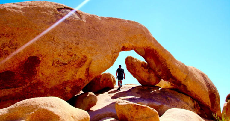 10 Scenic Hiking Trails In Joshua Tree National Park