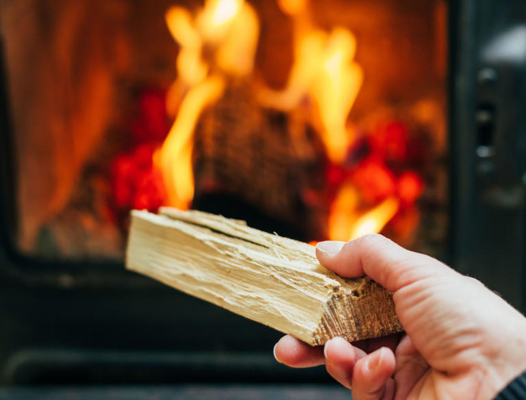 Avoid Burning These Types of Wood  in Your Fireplace