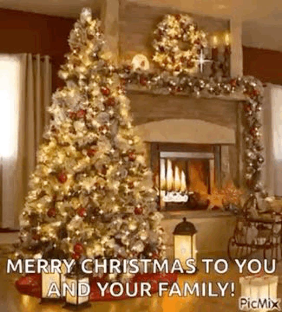 We wish everyone a Merry Christmas Deise House Cleaning Service ...