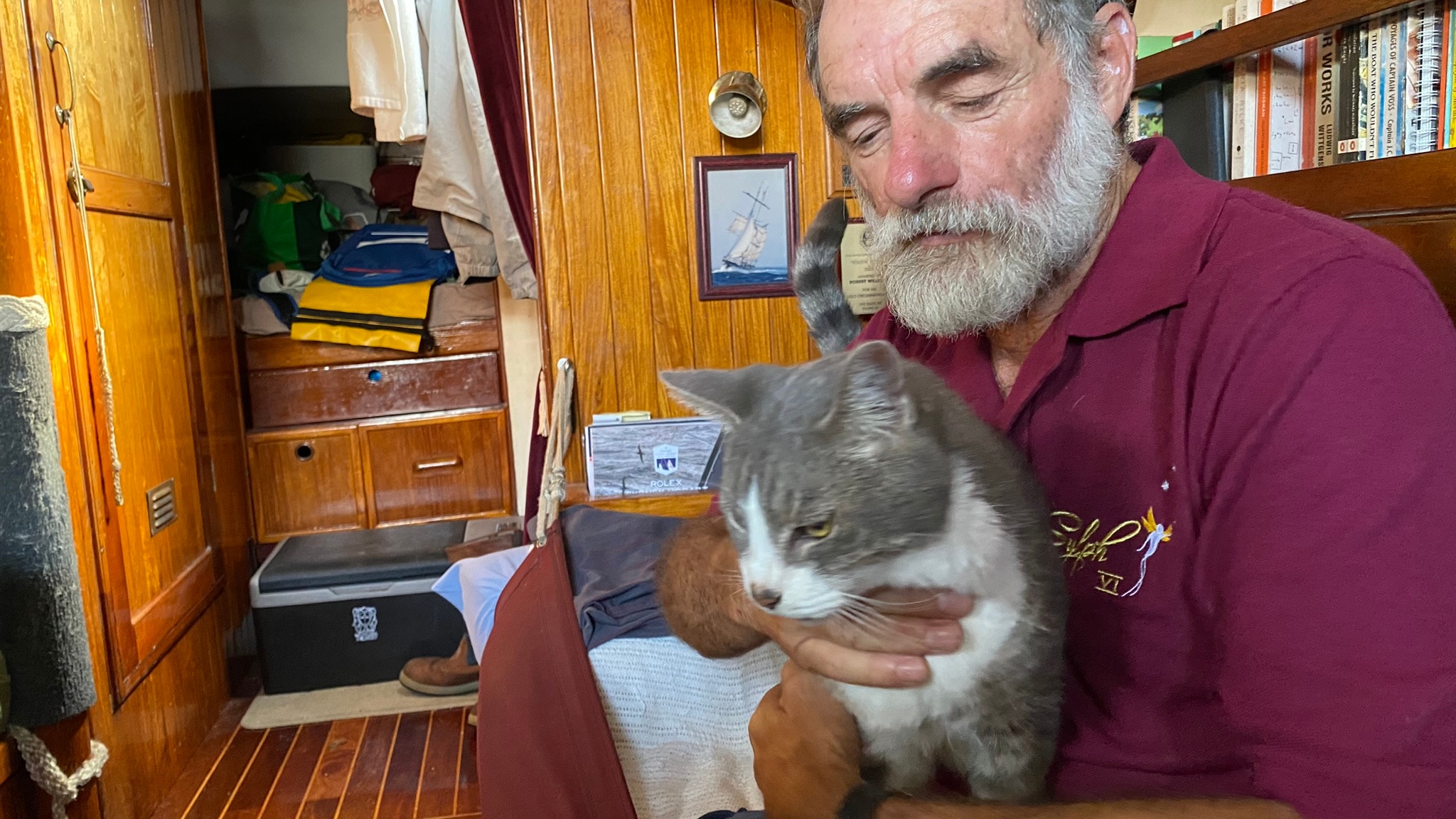 sydney to hobart yacht with cat