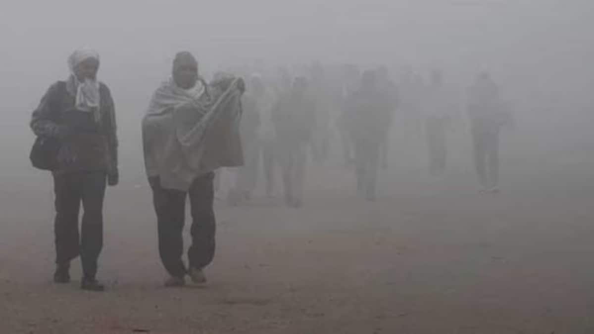 india weather update: fog layer spreading over delhi, punjab, uttar pradesh, says imd; predicts rainfall in these states – check full forecast here