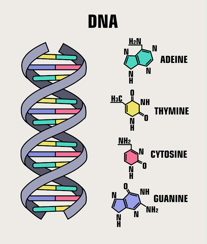 30 vreemde feiten over DNA die je nog niet wist