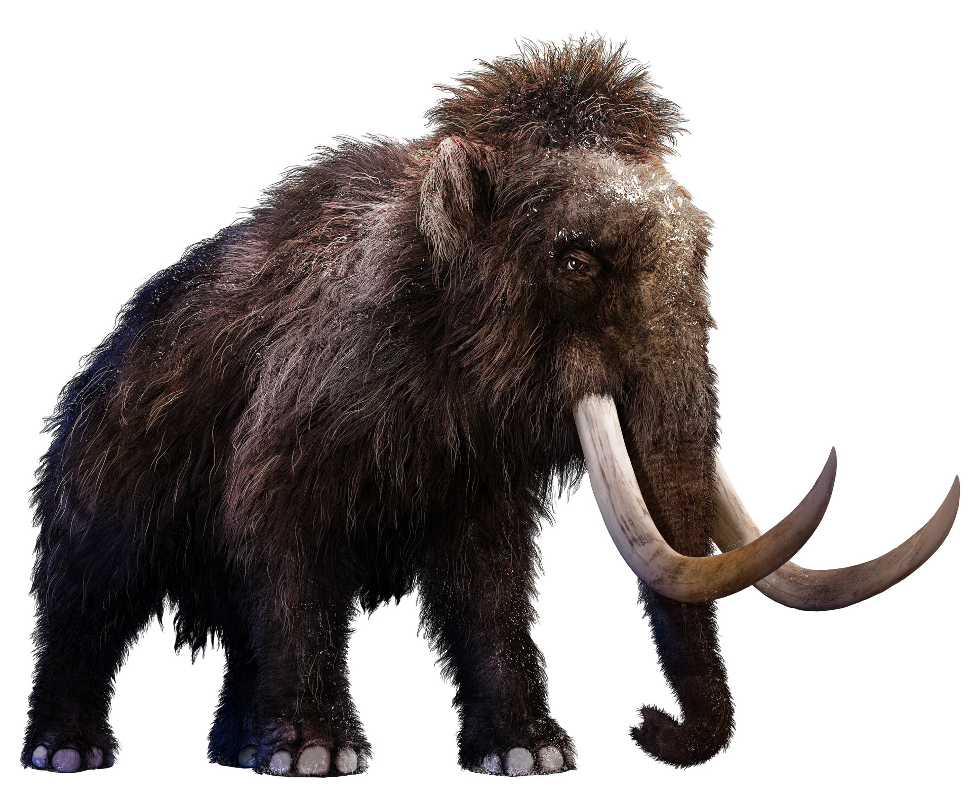 Prehistoric animals you won't believe existed