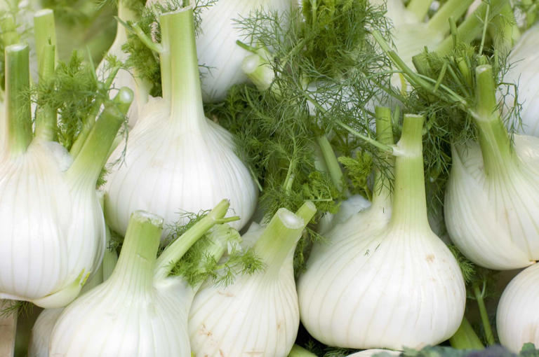 Is Fennel Safe For Pregnancy To Cure Morning Sickness? A Review By