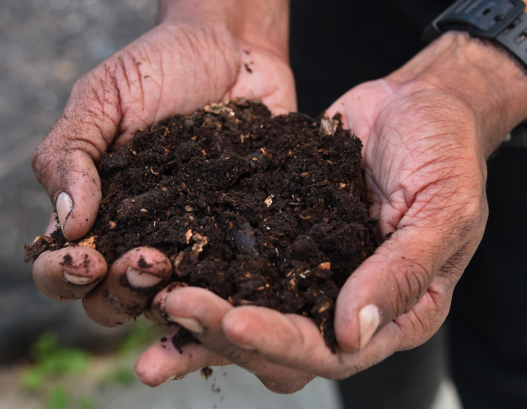 Federal Grant To Support Compost And Food Scrap Sites At Baltimore ...