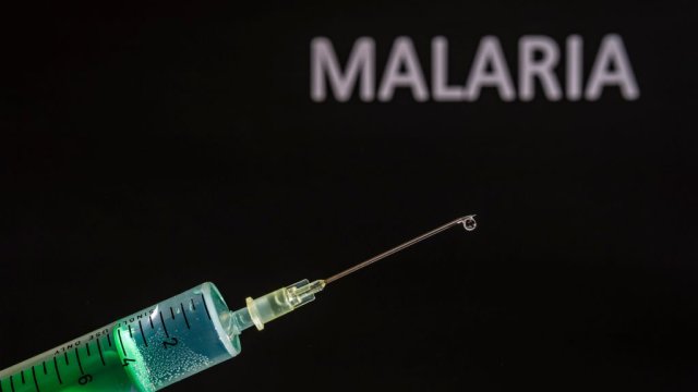 malaria could be wiped out within a decade, says top oxford vaccinologist
