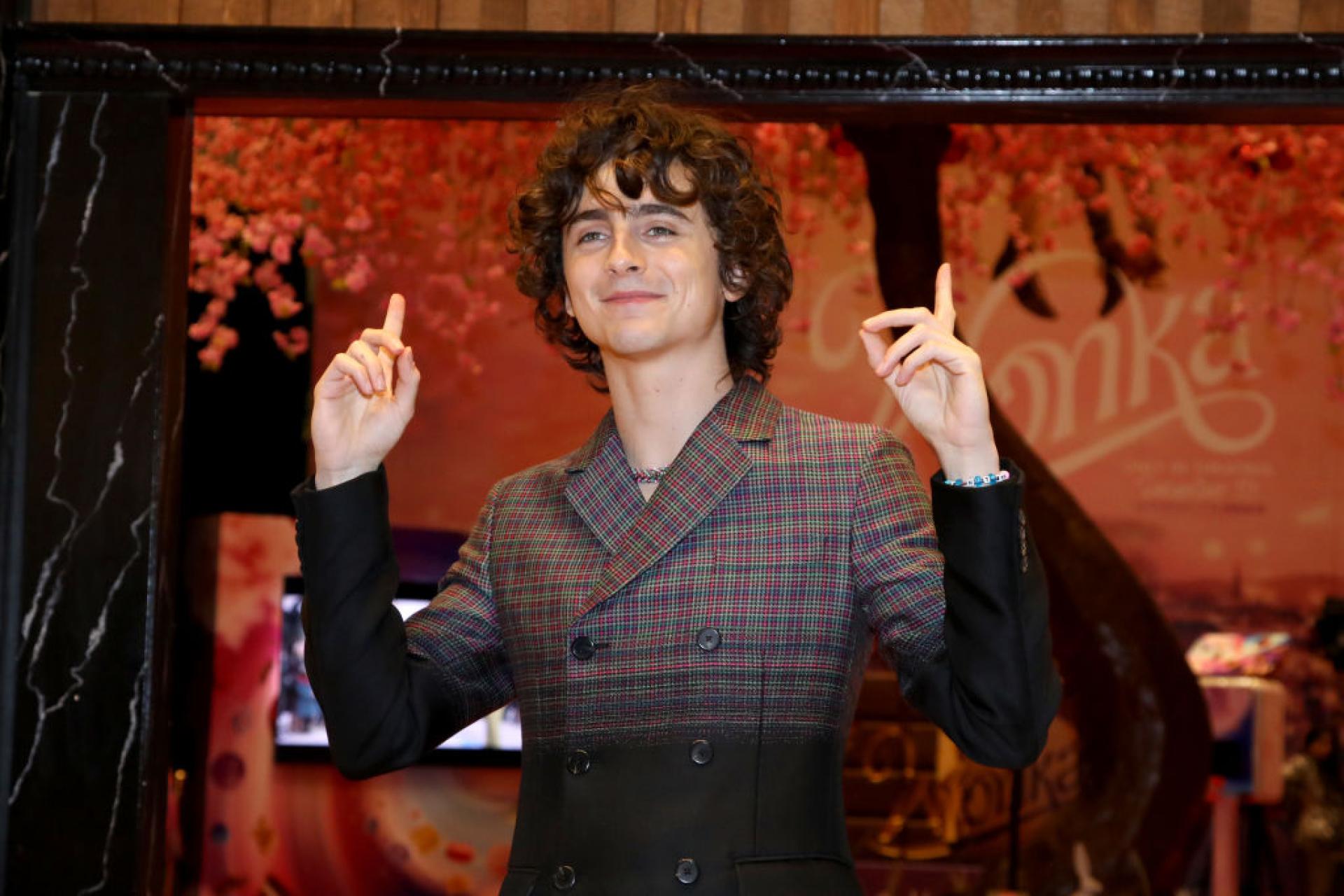 Timothee Chalamet Discusses Potential For 'Wonka 2' Sequel