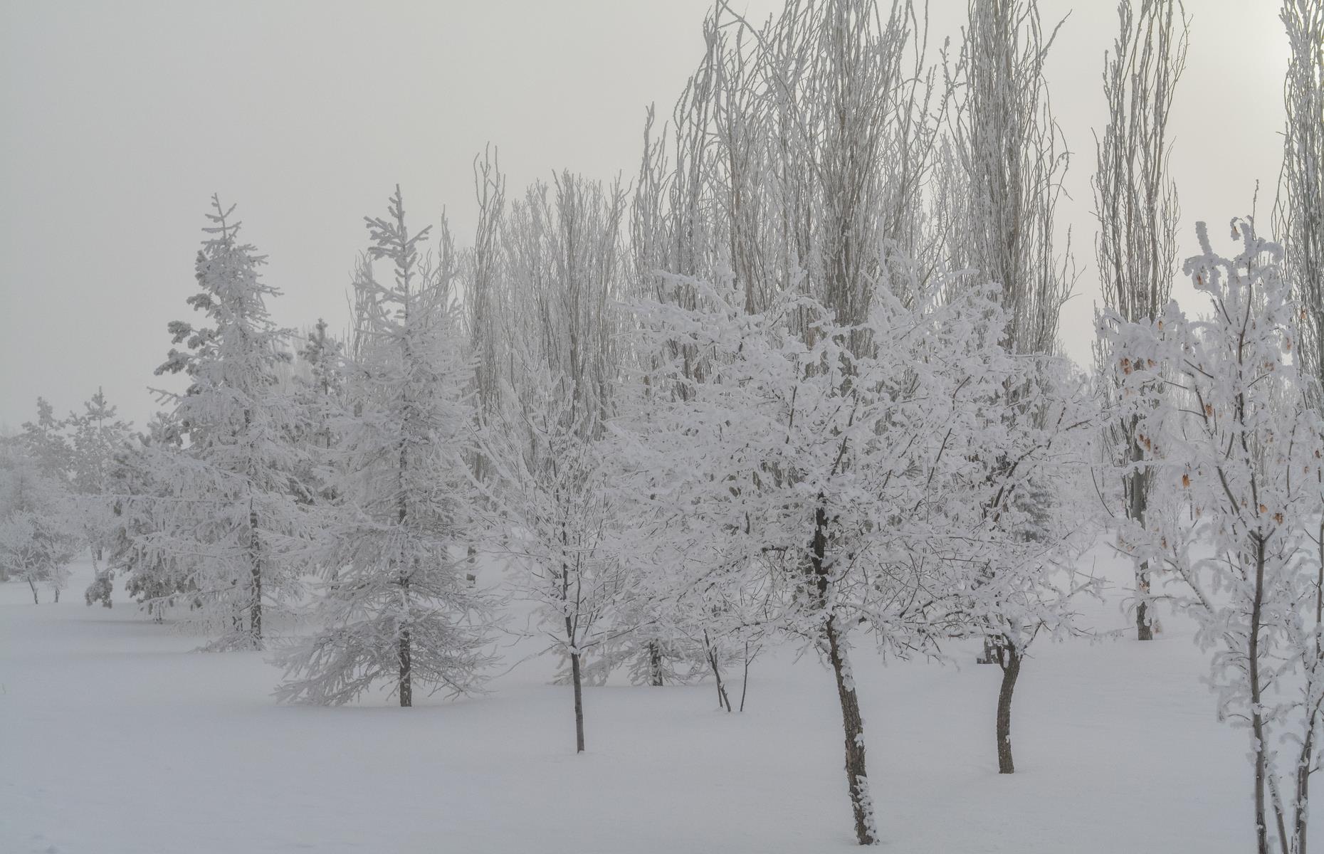 700 million prize up for grabs in Powerball jackpot drawing