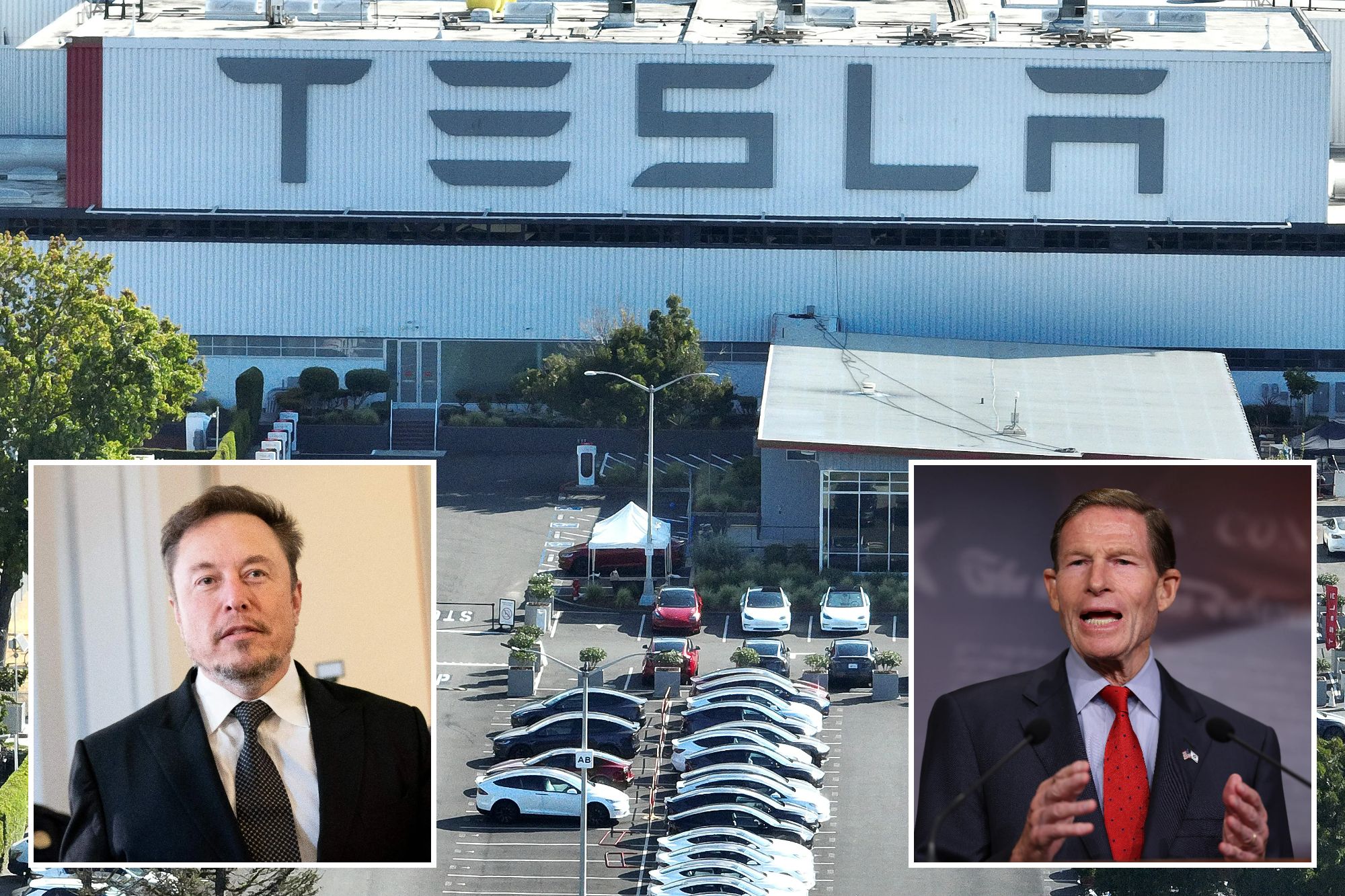 Senators Demand Tesla Recalls Over Defective Parts, Slam Elon Musk For ...