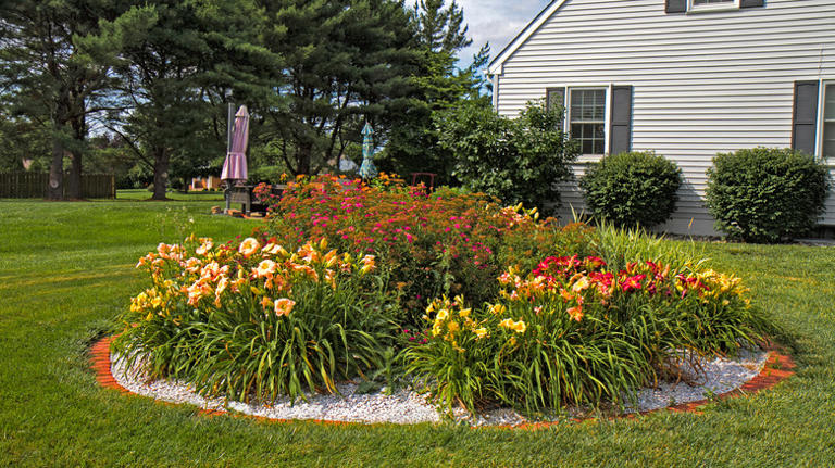 Gardening Mistakes That Can Hinder The Growth Of Your Daylilies