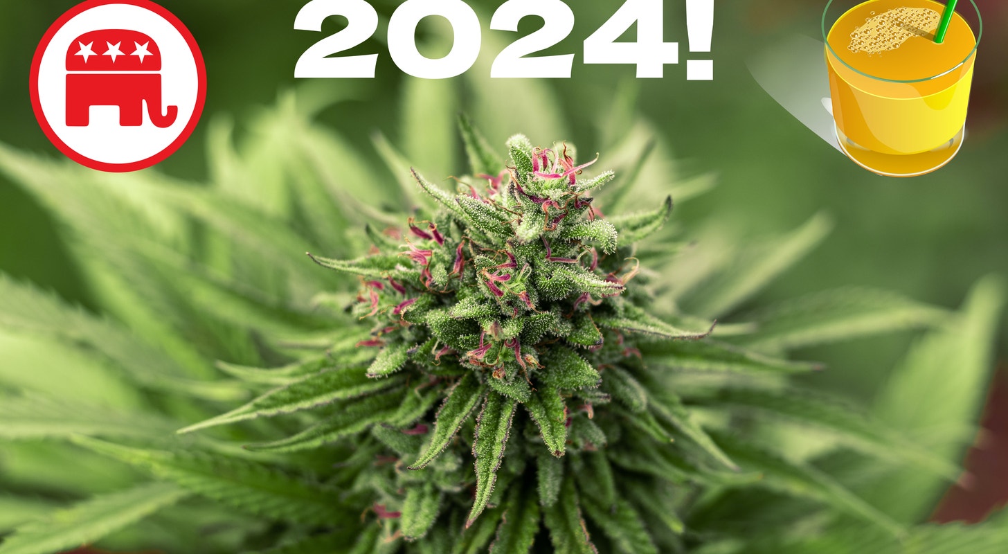 Cannabis 2024 Experts Weigh In What To Expect From DC And Business   AA1m70I1.img