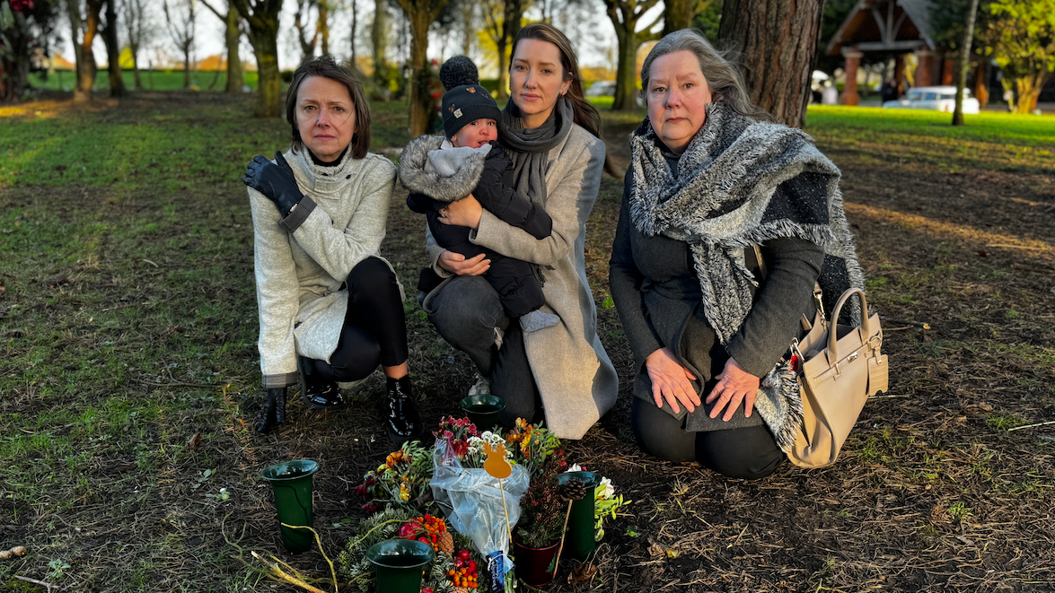 family 'devastated' after council fells memorial tree