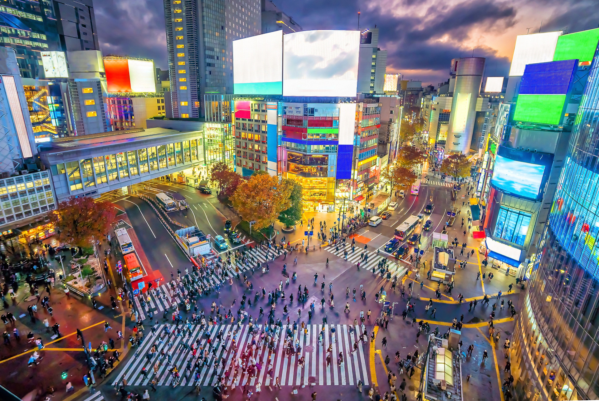 <p>Haruki Murakami's novels, including 'Norwegian Wood,' often feature modern Tokyo as a backdrop. Tokyo's vibrant neighborhoods, like Shibuya and Nakano, mirror the eclectic and sometimes surreal experiences of Murakami's characters.</p> <p>Sources: (BuzzFeed) (Huff Post) (Pan MacMillan)</p> <p>See also: <a href="https://www.starsinsider.com/movies/496279/movies-set-in-americas-deep-south">Movies set in America's Deep South</a></p><p><a href="https://www.msn.com/en-us/community/channel/vid-7xx8mnucu55yw63we9va2gwr7uihbxwc68fxqp25x6tg4ftibpra?cvid=94631541bc0f4f89bfd59158d696ad7e">Follow us and access great exclusive content every day</a></p>