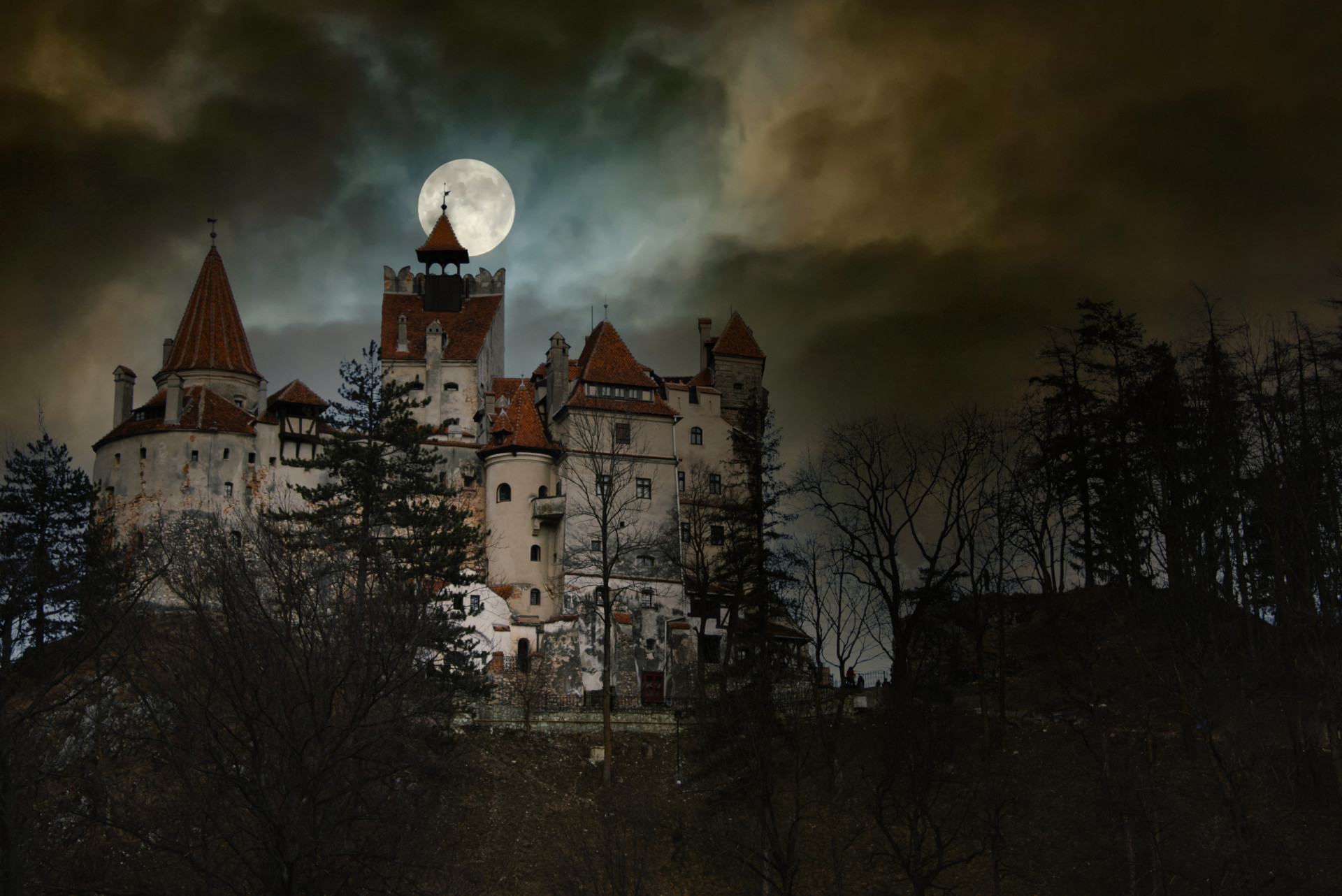 <p>The legendary 'Dracula' by Bram Stoker is synonymous with the mythical Transylvania. While the vampire's castle may be a product of fiction, visitors to Transylvania can explore the region's stunning landscapes, medieval castles, and folklore.</p><p><a href="https://www.msn.com/en-us/community/channel/vid-7xx8mnucu55yw63we9va2gwr7uihbxwc68fxqp25x6tg4ftibpra?cvid=94631541bc0f4f89bfd59158d696ad7e">Follow us and access great exclusive content every day</a></p>