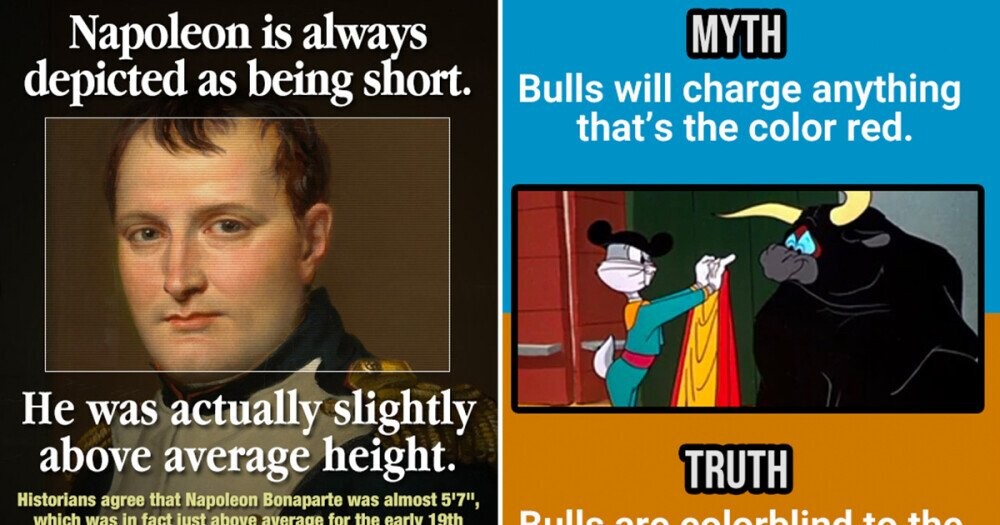 24 Myths And Misconceptions Some People Belive About The World