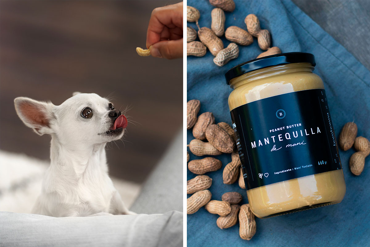 Are Peanuts And Peanut Butter Safe For Dogs? Must-Know Food Safety For ...