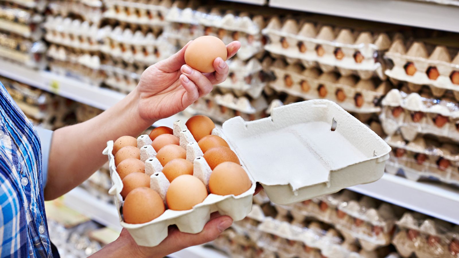 <p>Egg enthusiasts can rejoice, as prices for eggs are anticipated to drop significantly. This 14.7% decrease in cost makes eggs an even more economical protein choice for meals and baking.</p>
