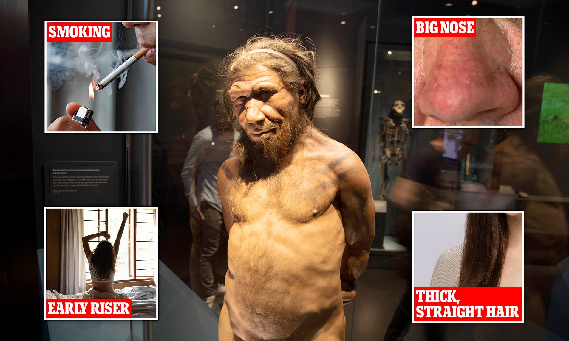 The Six Weird Traits Which Show You Have Neanderthal DNA