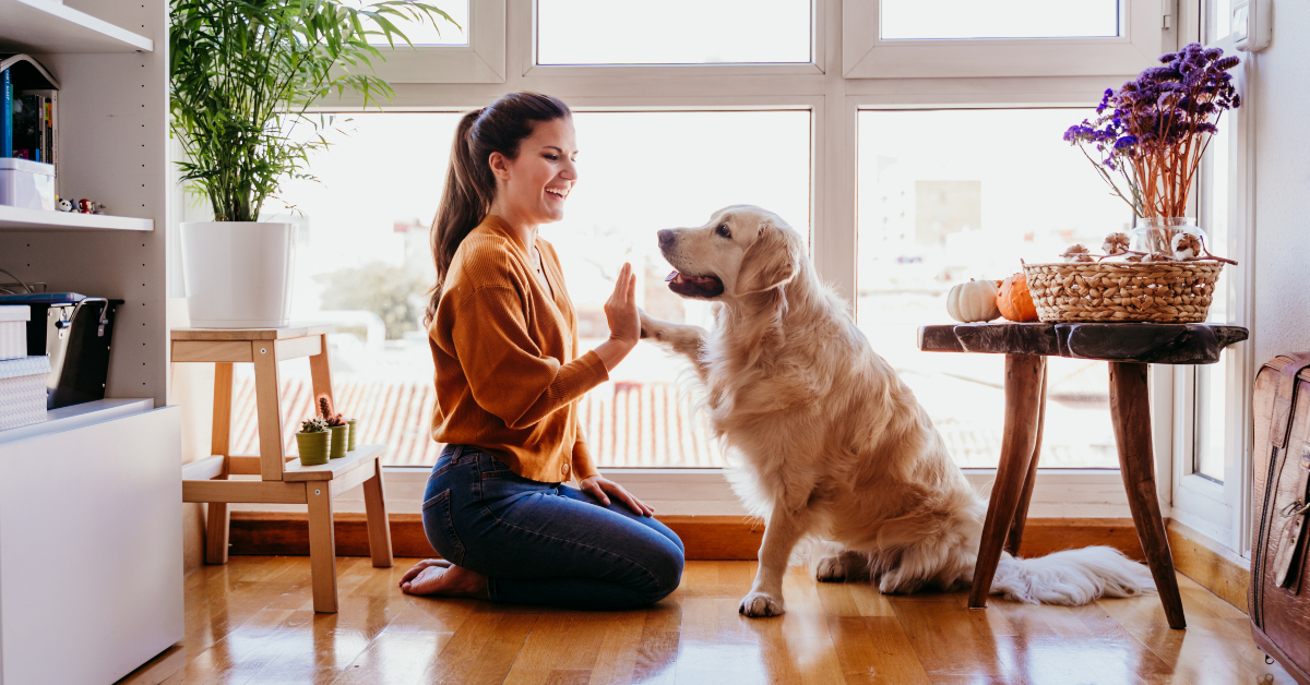 <p> Pet-sitting can be a great side gig if you love animals and have experience caring for them. You can either stay in someone’s house while they're away or have the pet stay in your home. </p> <p> If you work from home, this can be a great option since you can care for the animal during the day.</p><p>  <p><a href="https://www.financebuzz.com/lazy-money-moves-55mp?utm_source=msn&utm_medium=feed&synd_slide=10&synd_postid=15433&synd_backlink_title=Lazy+Cash%3A+Hands+down%2C+these+are+the+laziest+ways+people+are+making+extra+cash&synd_backlink_position=6&synd_slug=lazy-money-moves-55mp"><b>Lazy Cash:</b> Hands down, these are the laziest ways people are making extra cash</a></p>  </p>