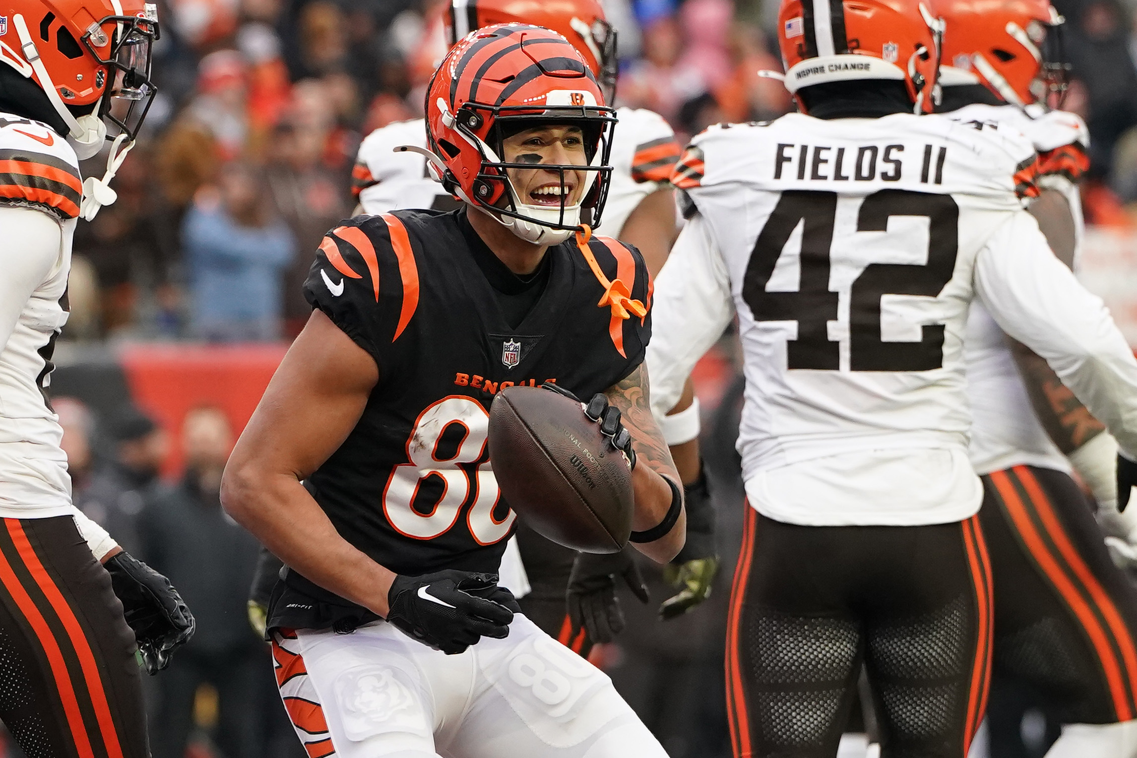 AFC North Standings: Bengals' Win, Steelers' Playoff Berth Makes NFL ...