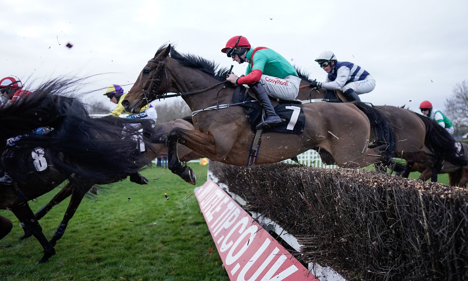 Robin Goodfellow's Racing Tips: Best Bets For Wednesday, January 10