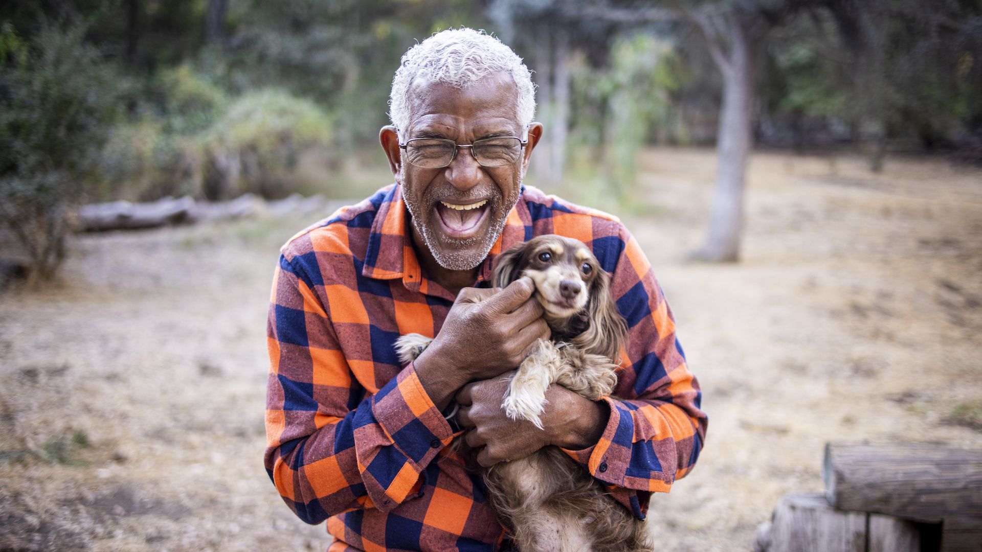 <p>                     A study by the <a href="https://www.animalsandsociety.org/" rel="nofollow">Animals and Society Institute</a> has shown that dog owners laugh more than cat owners – although people who owned both, and people who owned neither, also laughed more, at spontaneous situations.                   </p>
