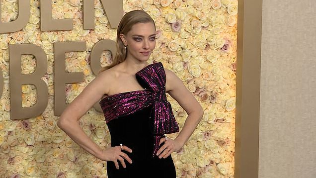 Amanda Seyfried Spots Meryl Streep On Golden Globes Red Carpet 2024