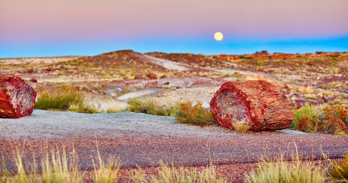 This Underrated Arizona National Park Is Set To Be One Of The Most   AA1mC00V.img