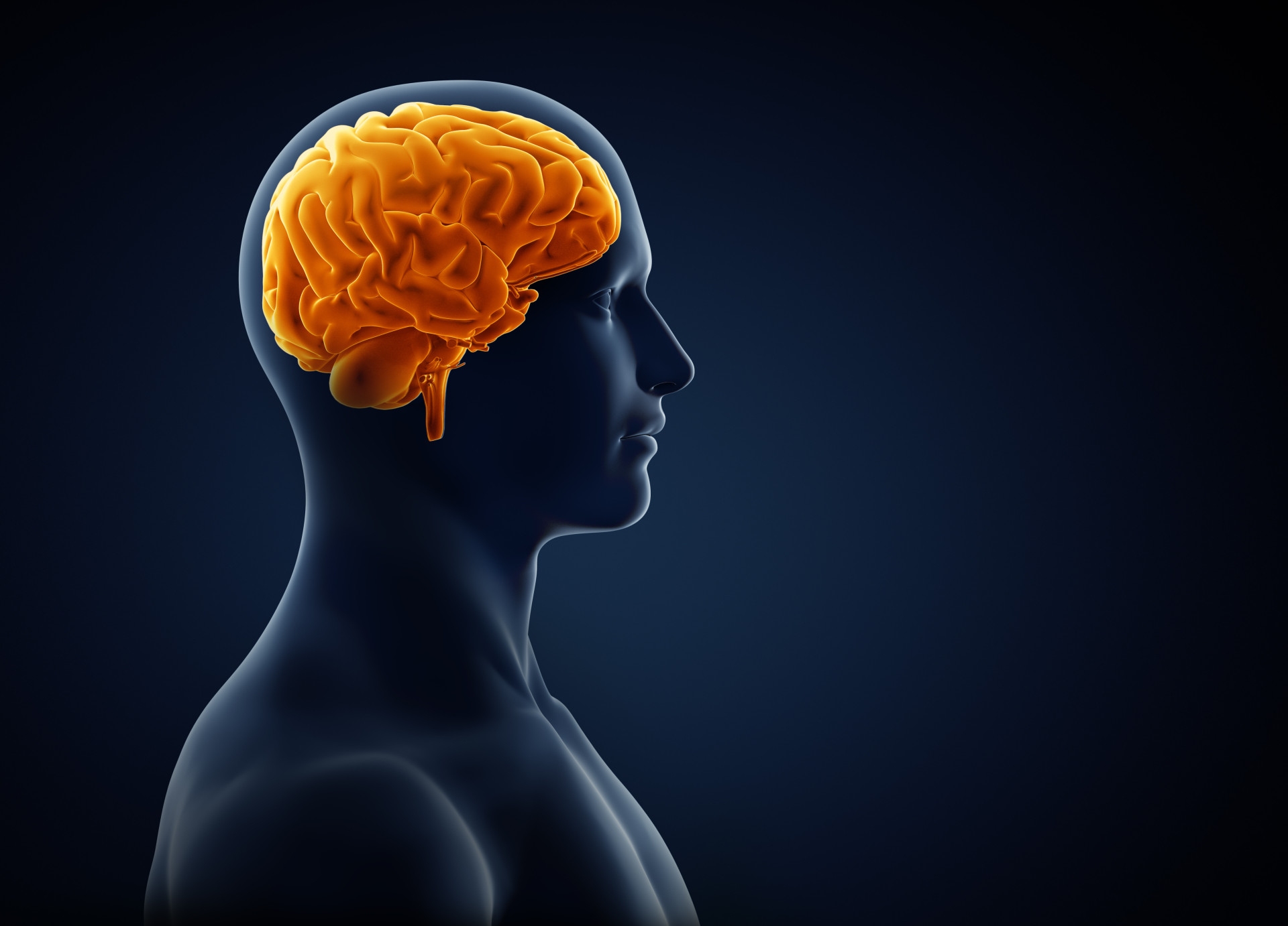 the-real-impact-of-alcohol-in-your-body