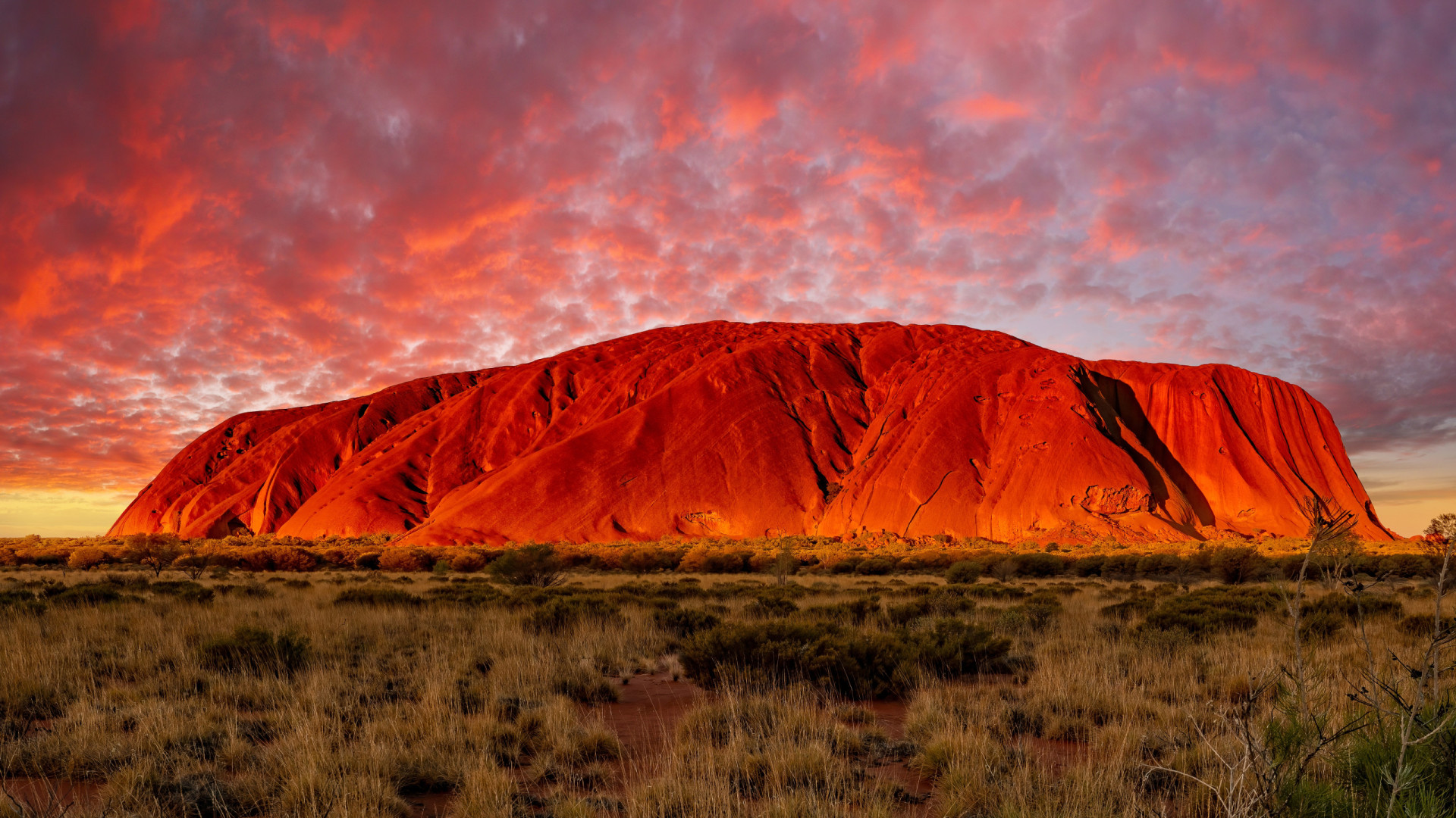<p>Respecting indigenous culture and environmental concerns, access to Uluru is being restricted. This decision honors the Anangu people's request, acknowledging Uluru's cultural significance and the need to preserve its natural state.</p><p>You may also like:<a href="https://www.starsinsider.com/n/448669?utm_source=msn.com&utm_medium=display&utm_campaign=referral_description&utm_content=646906en-us"> Celebrities who are members of the National Rifle Association</a></p>