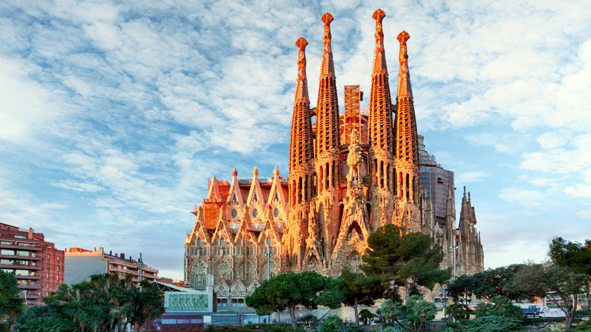 <p>Gaudí's unfinished masterpiece continues its journey towards completion. Ongoing construction may restrict access to certain areas of the basilica, but these works are pivotal in realizing the full vision of this architectural wonder.</p><p><a href="https://www.msn.com/en-us/community/channel/vid-7xx8mnucu55yw63we9va2gwr7uihbxwc68fxqp25x6tg4ftibpra?cvid=94631541bc0f4f89bfd59158d696ad7e">Follow us and access great exclusive content every day</a></p>