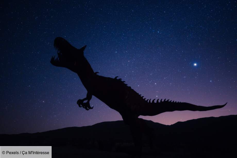 Le temps des découvertes