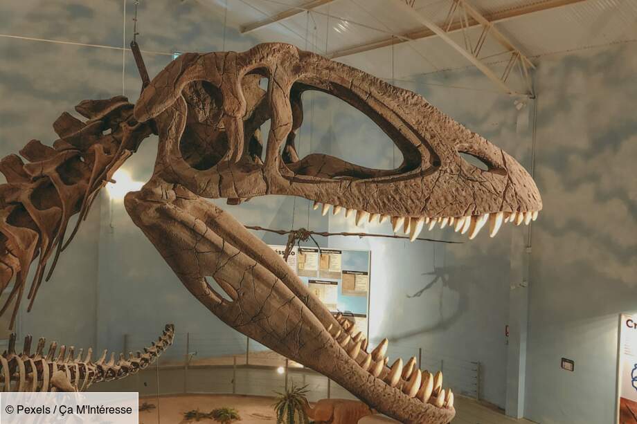 Encore à découvrir