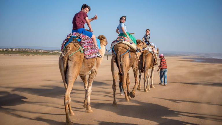 Family tours are a fun and hassle-free way to see the world with your kids.
