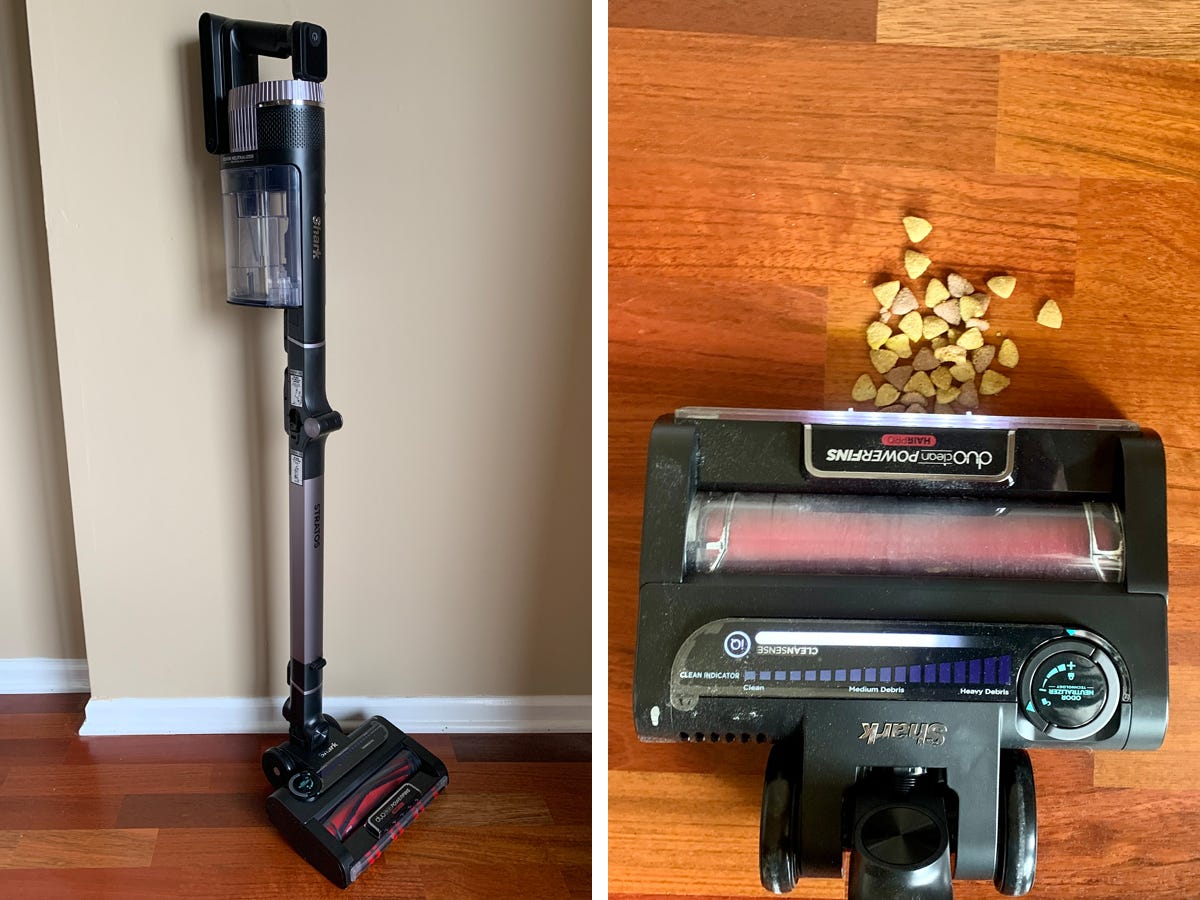 The 6 Best Vacuum Cleaners Of 2024 Tested And Reviewed   AA1mDaCN.img