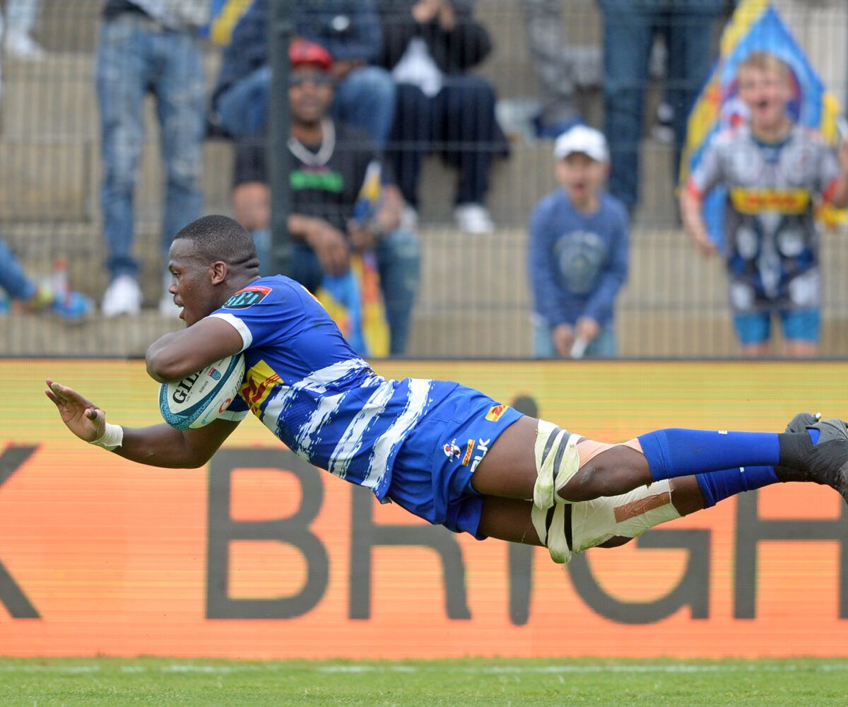 rugby rumours: springbok hopeful gets france move boost