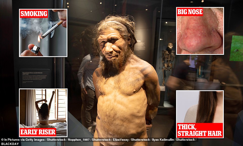 The Six Weird Traits Which Show You Have Neanderthal DNA