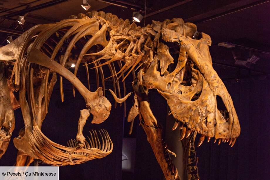 Chaque jour un peu plus