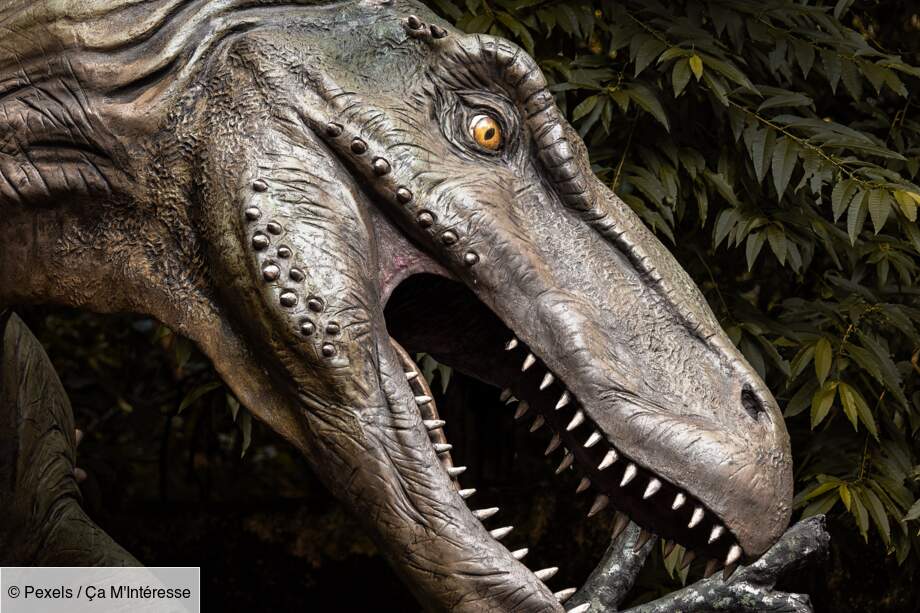 Mais au fait, comment sont-ils morts ?