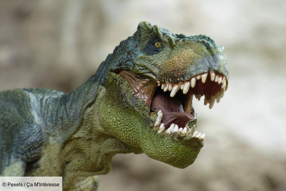 Des découvertes à venir