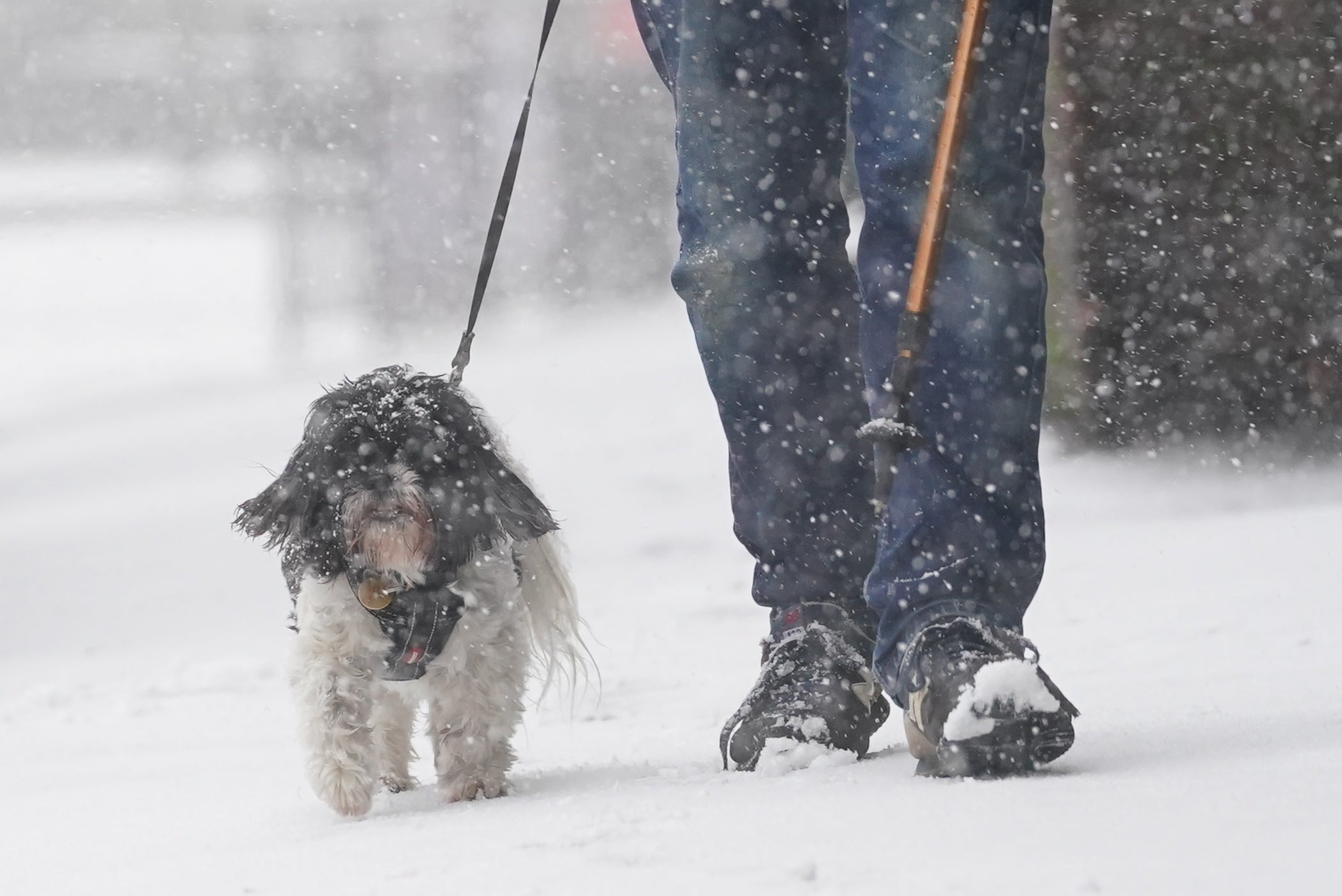 In Pictures: Snow Hits The UK As Cold Blast Sees Temperatures Plummet ...