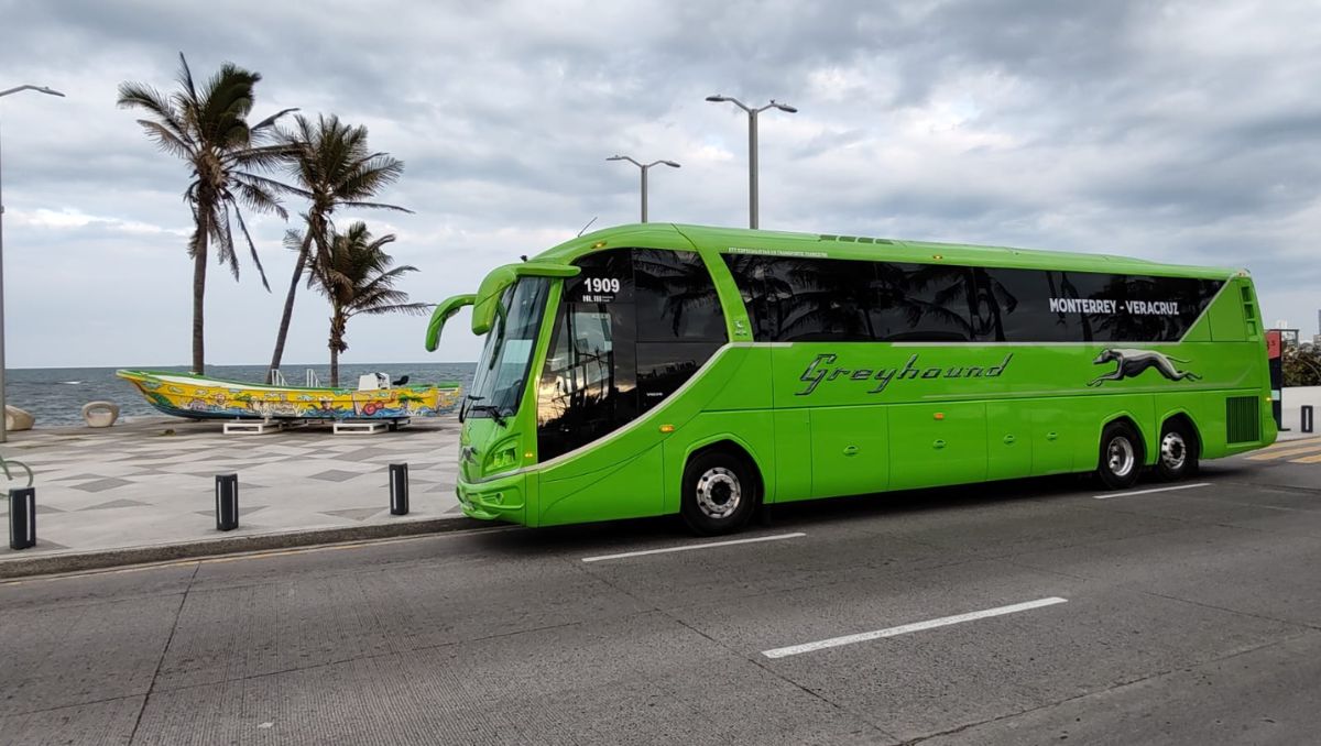 Greyhound Anuncia Nueva Ruta De Autobús Monterrey-Veracruz