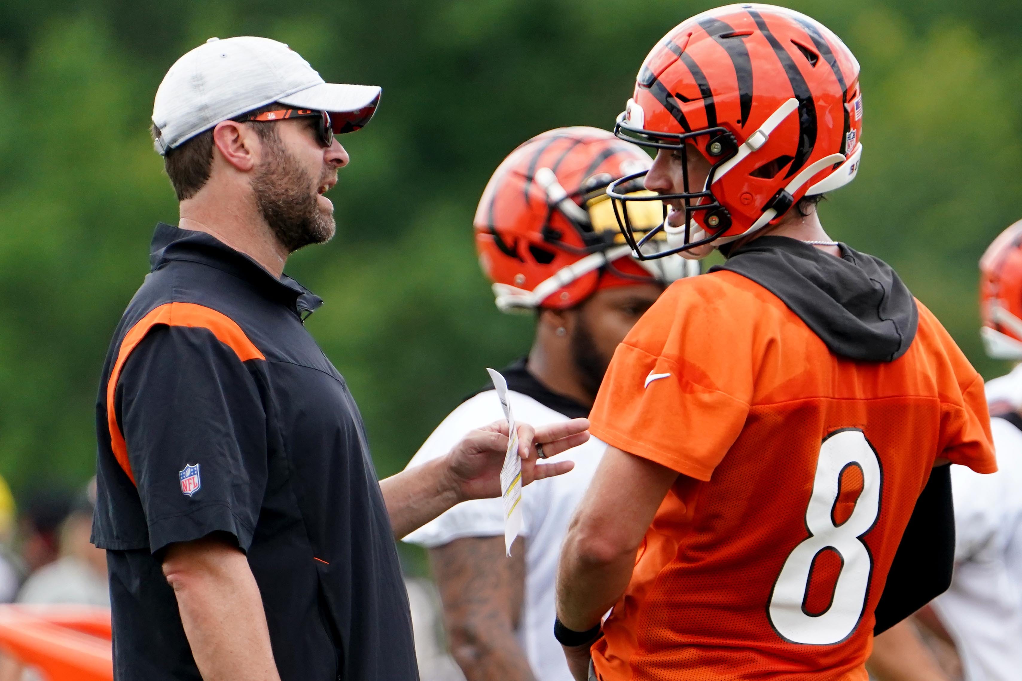 Titans, Falcons Announce Interviews With Bengals' Brian Callahan