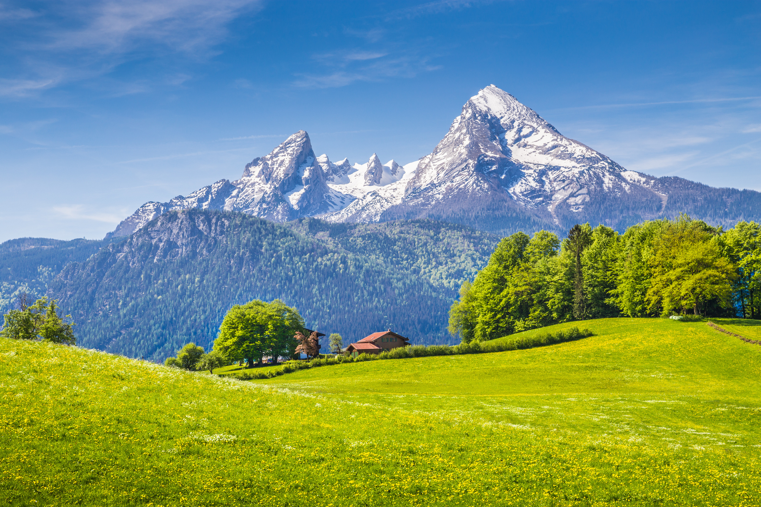<p>The Bavarian Alps are unlike any other part of Germany and make a great day trip from Munich. You can take a gondola up Germany’s highest point, the Zugspitze, hike or ski the trails, or just enjoy lake views. Bonus — don’t forget to visit the Neuschwanstein Castle on the way back to the city. </p><p>You may also like: <a href='https://www.yardbarker.com/lifestyle/articles/20_tips_for_growing_a_thriving_herb_garden/s1__38937070'>20 tips for growing a thriving herb garden</a></p>
