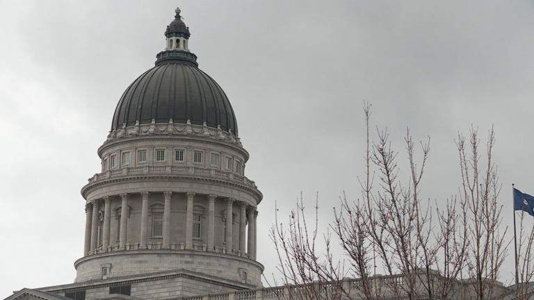Utah representative proposes gender reassignment surgery benefits for state employees