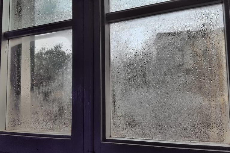 Expert shares best ways to prevent window condensation in homes