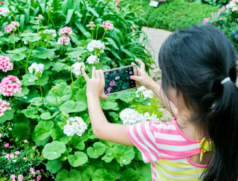 Get A Gorgeous Instagram Garden: Perfect Plants For Social Media