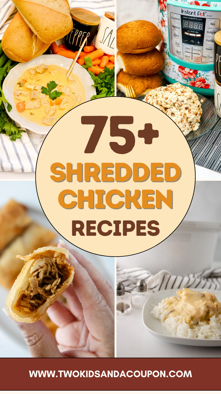 75+ Shredded Chicken Recipes