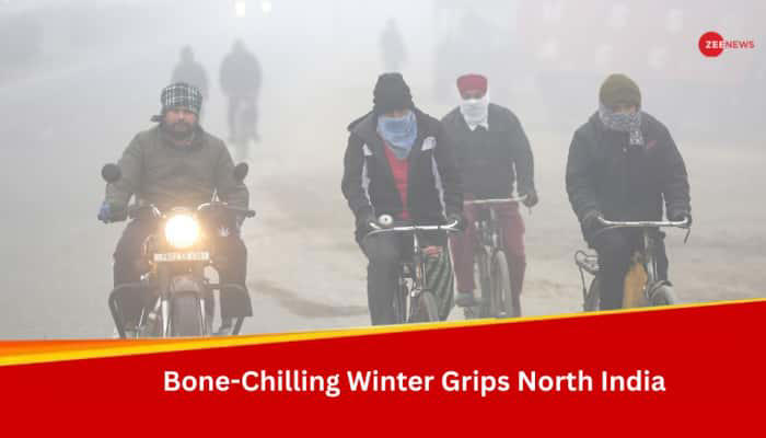 Weather Update: IMD Predicts Respite From Intese Cold As North India Reels  Under Bone-Chilling Winter